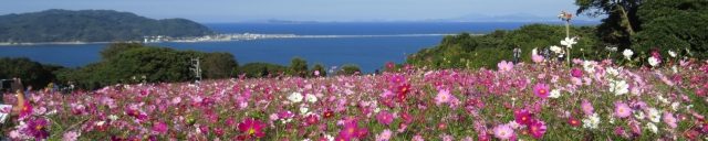 福岡県限定　半世紀生きた人々集合！